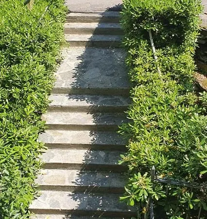 Il Pesciolino D'oro Parcheggio Privato Apartment Camogli