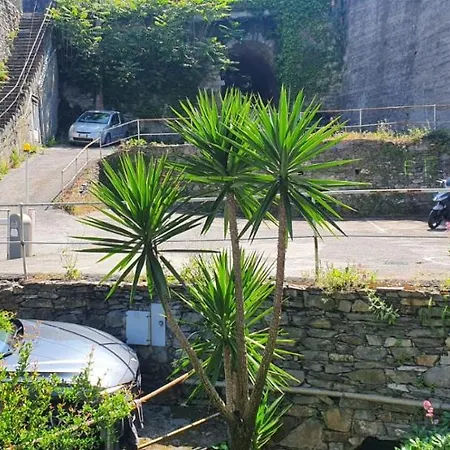 Il Pesciolino D'oro Parcheggio Privato Camogli